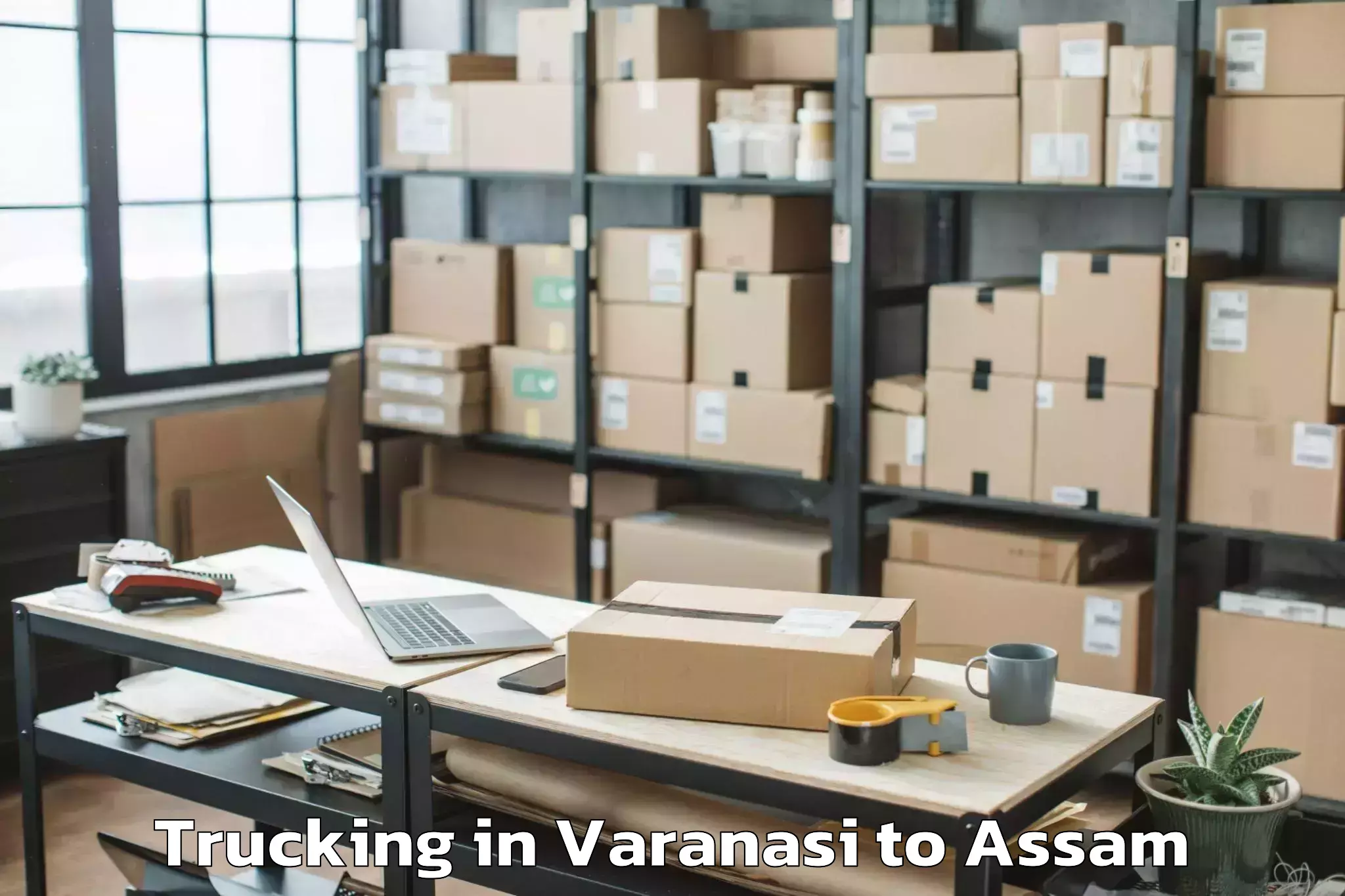 Book Varanasi to Biswanath Charali Trucking